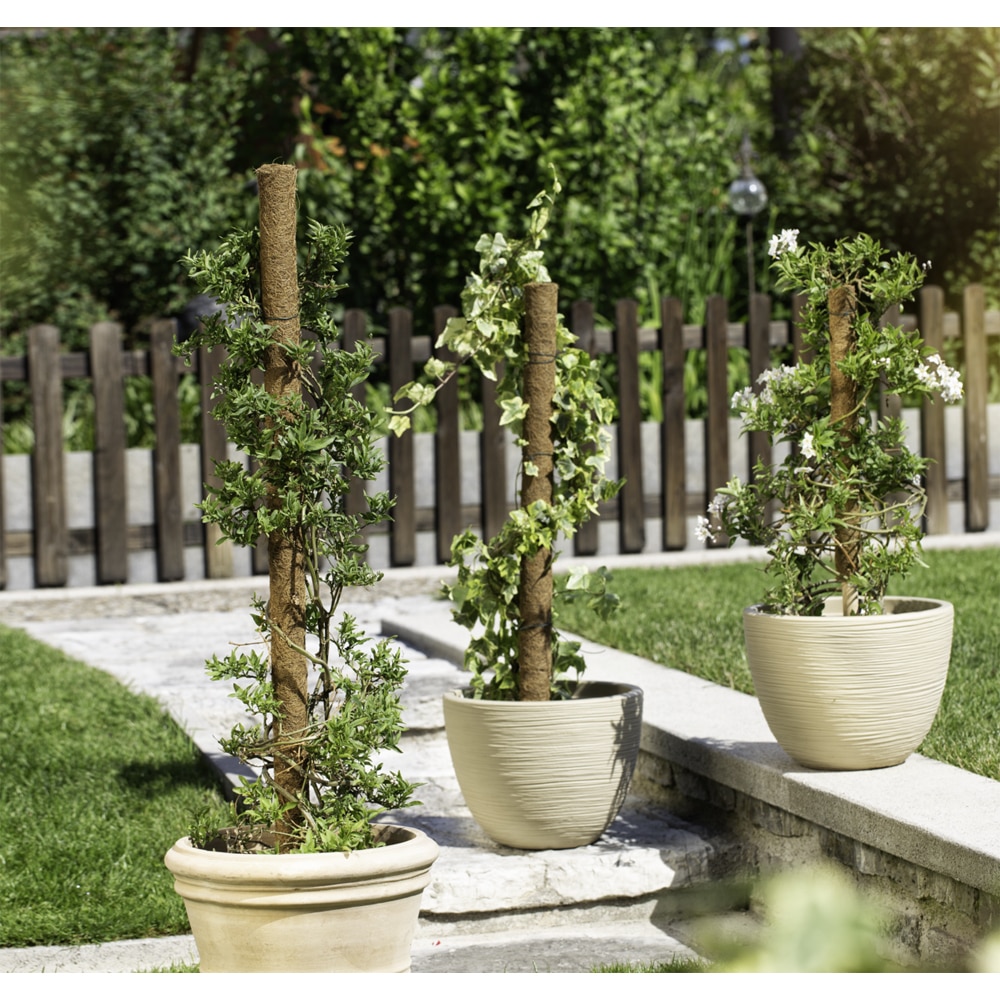 Tutore decorativ cocos, 110 cm