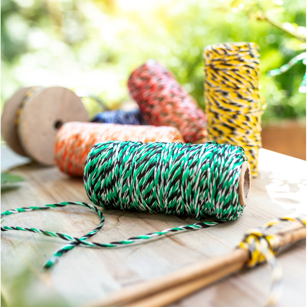 Sfoara bicolor, 50 m