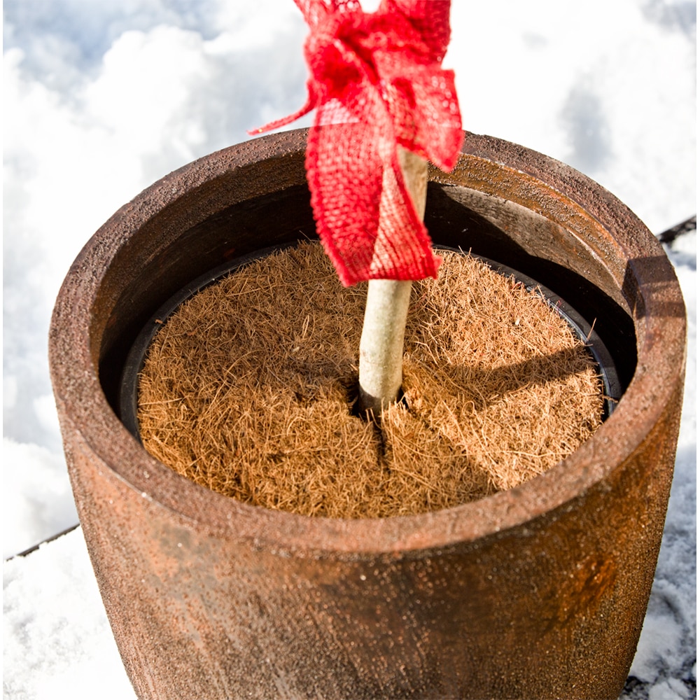 Disc din fibra de cocos Windhager Cocodisc, pentru mulcire, 45 cm, 800g/mp