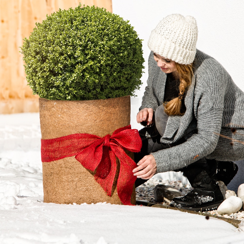 Protectie plante din fibra de cocos, 0.5 x 1.5 m, 1000 g/m, maro