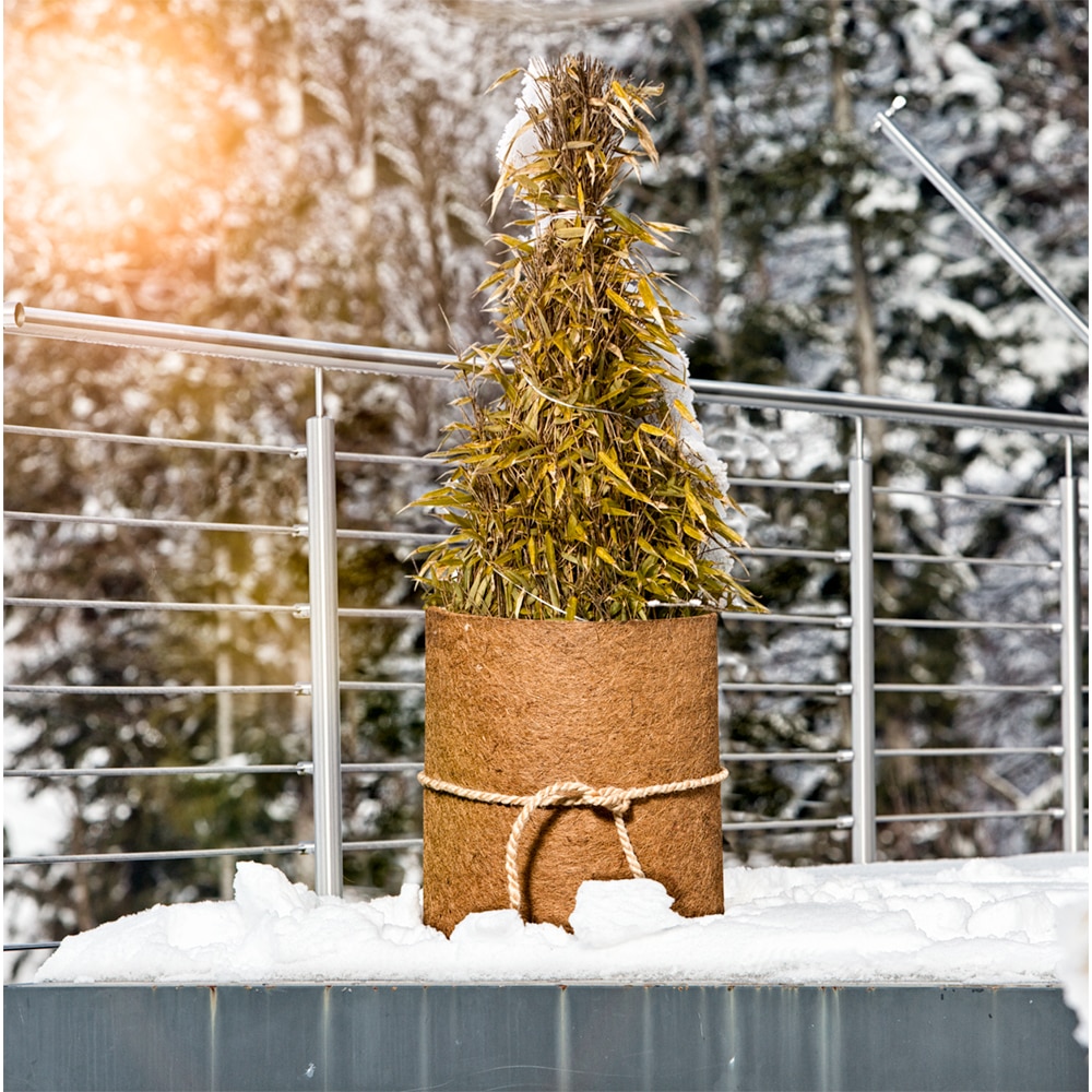 Protectie plante din fibra de cocos, 0.5 x 1.5 m, 1000 g/m, maro