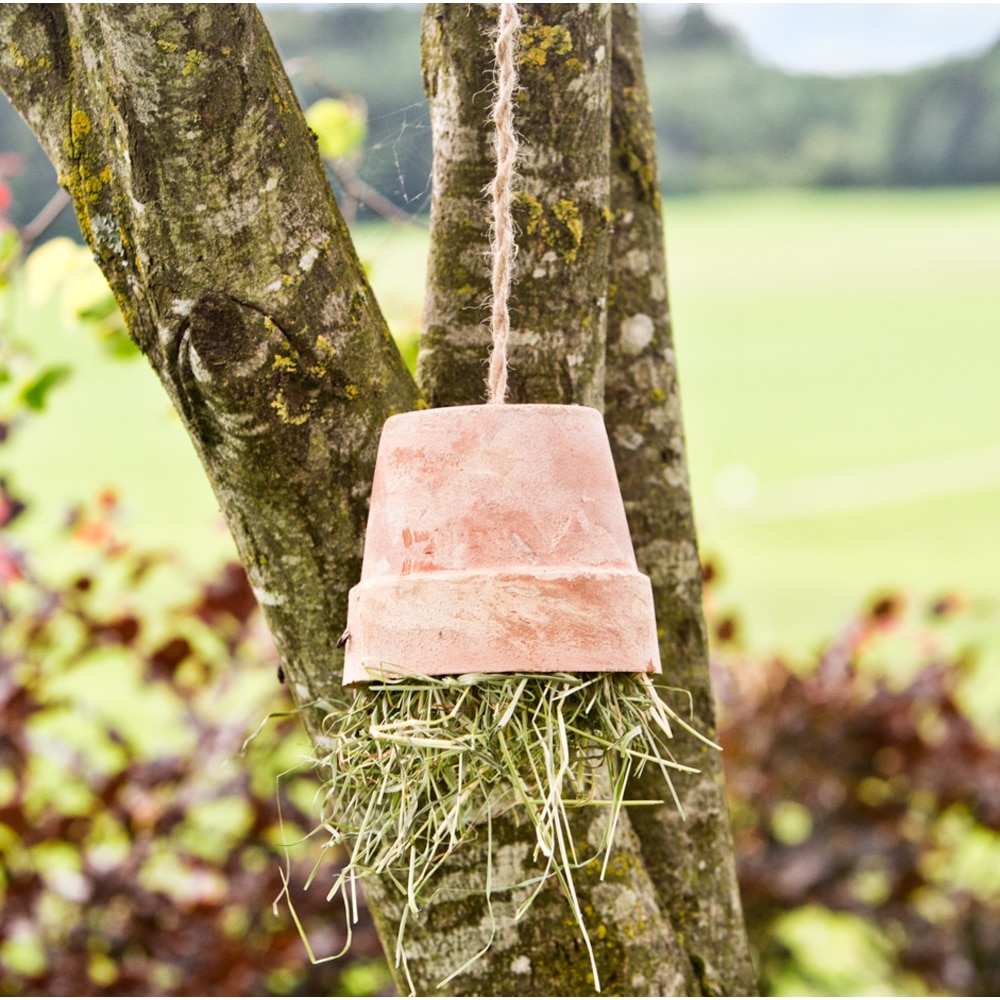 Sfoara iuta, 170 m, maro