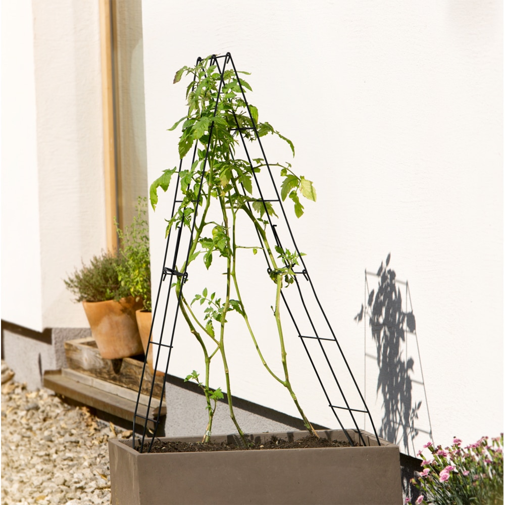 Spalier pliabil, otel, 30 x 100 cm, negru