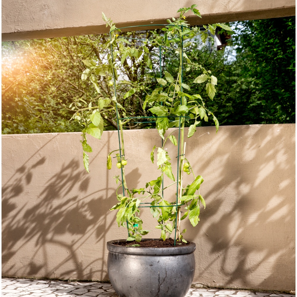 Spalier rotund pentru tomate, otel, 30 x 80 cm