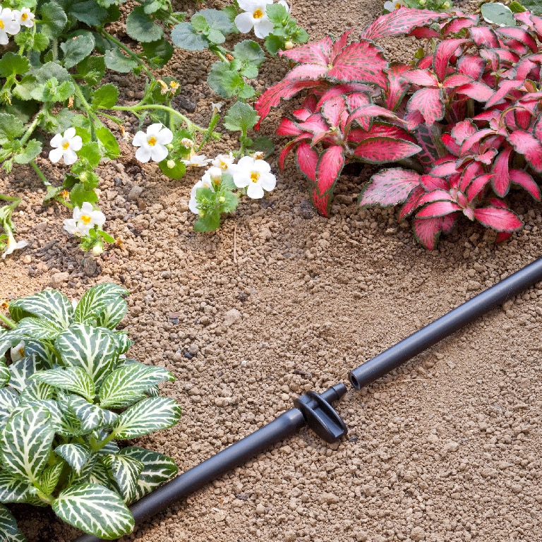 Conector furtun pachet 10 buc  Claber