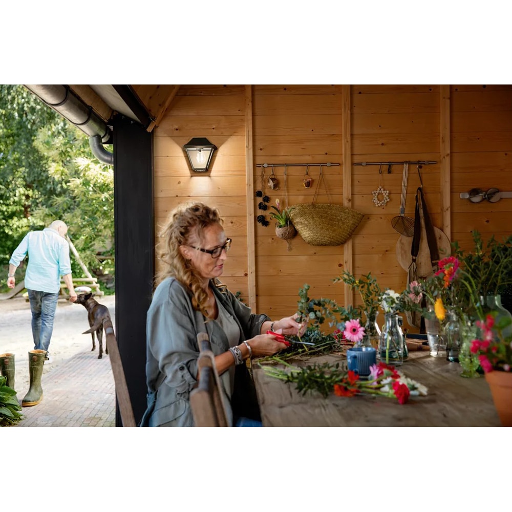 Aplica de exterior PHILIPS Alpenglow, 42W, IP44, negru