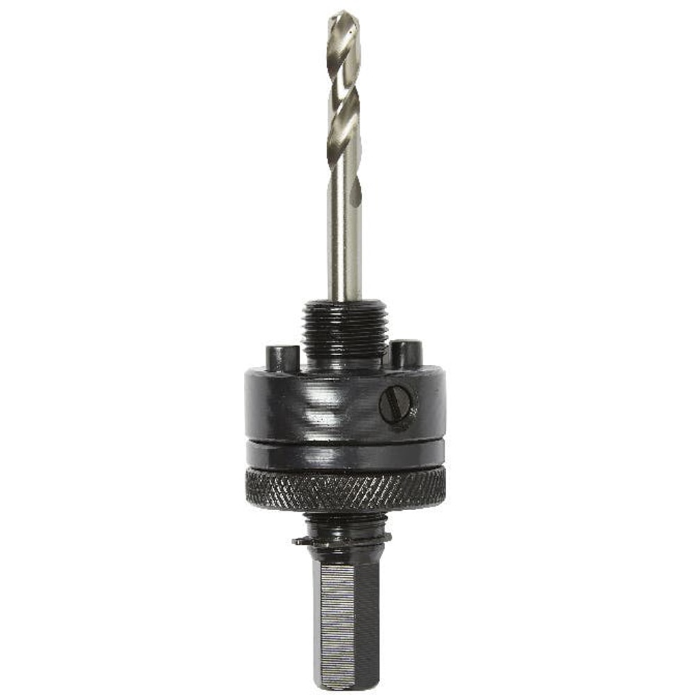 Arbore carota ERBAUER, SDS