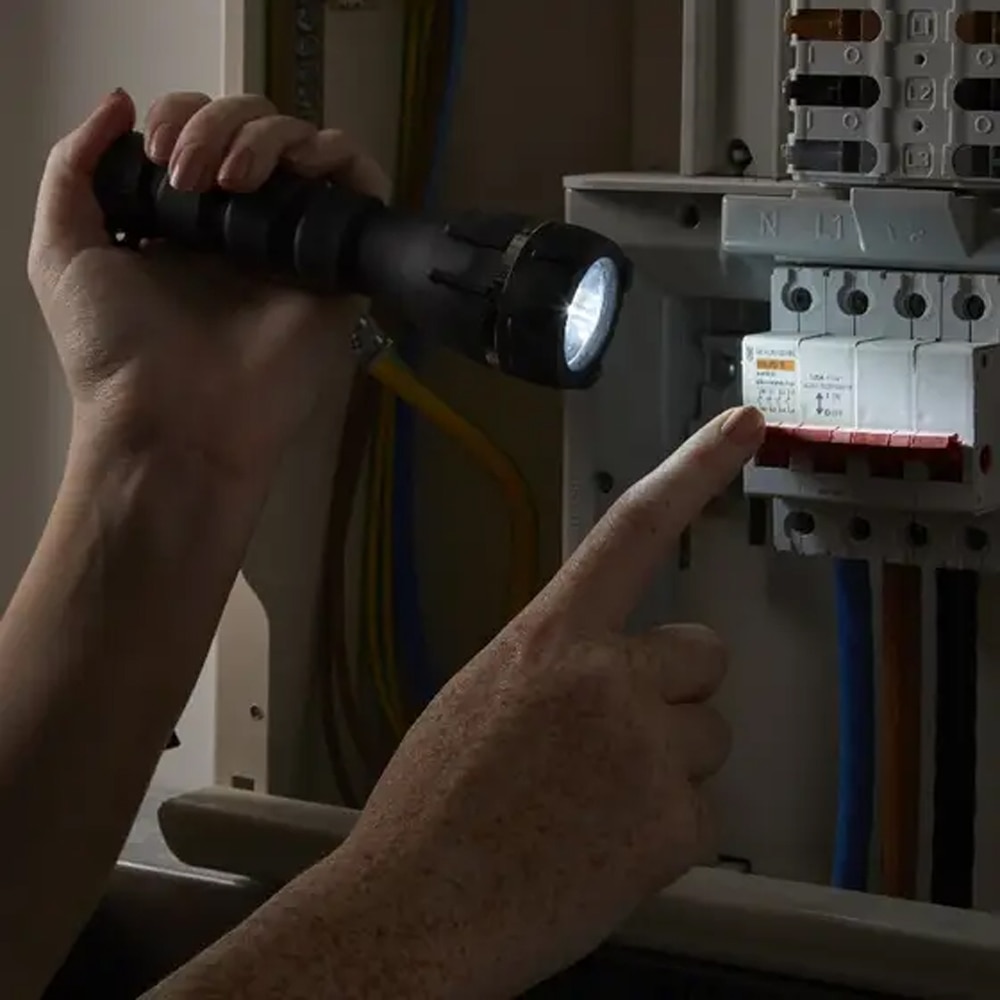 Lanterna cauciuc DIALL 100597658, negru