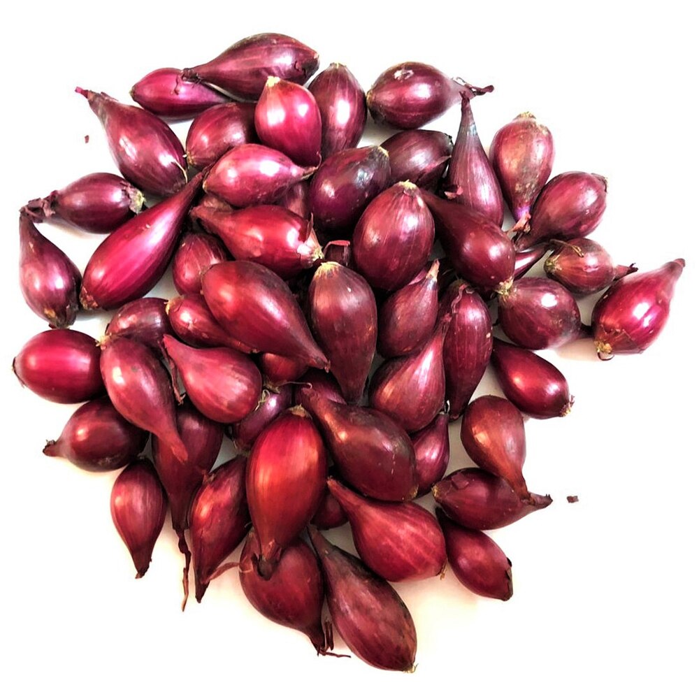 Arpagic rosu soi Piroska Red YURTA, 8-14 mm, ambalat in sac, 450 g