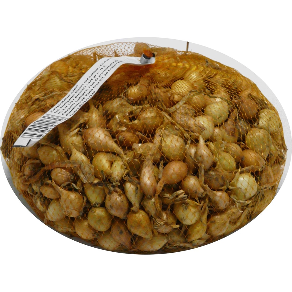 Arpagic galben YURTA, 8-14 mm, ambalat in sac, 450 g