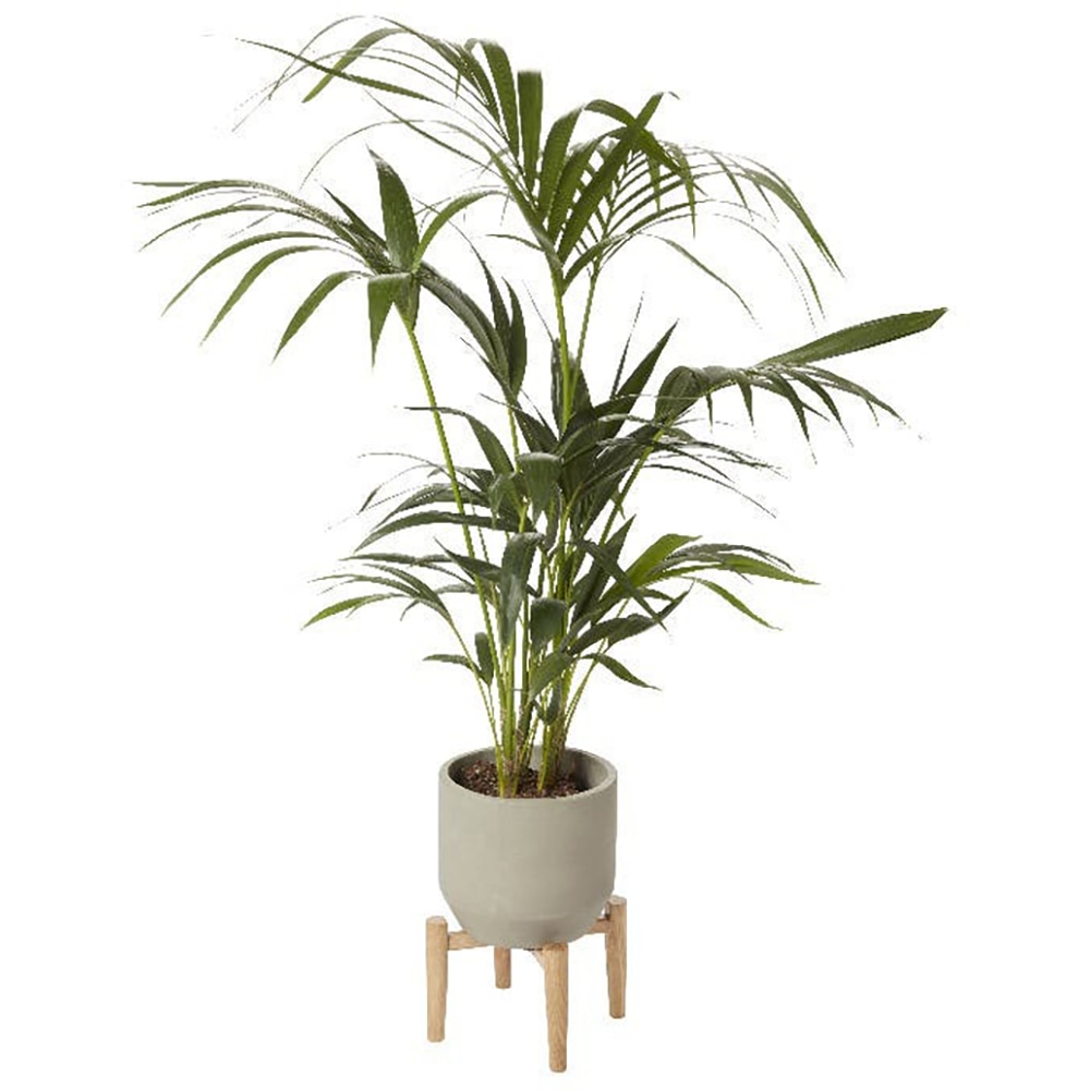 Ghiveci rotund GOODHOME, argila, 22 cm, gri