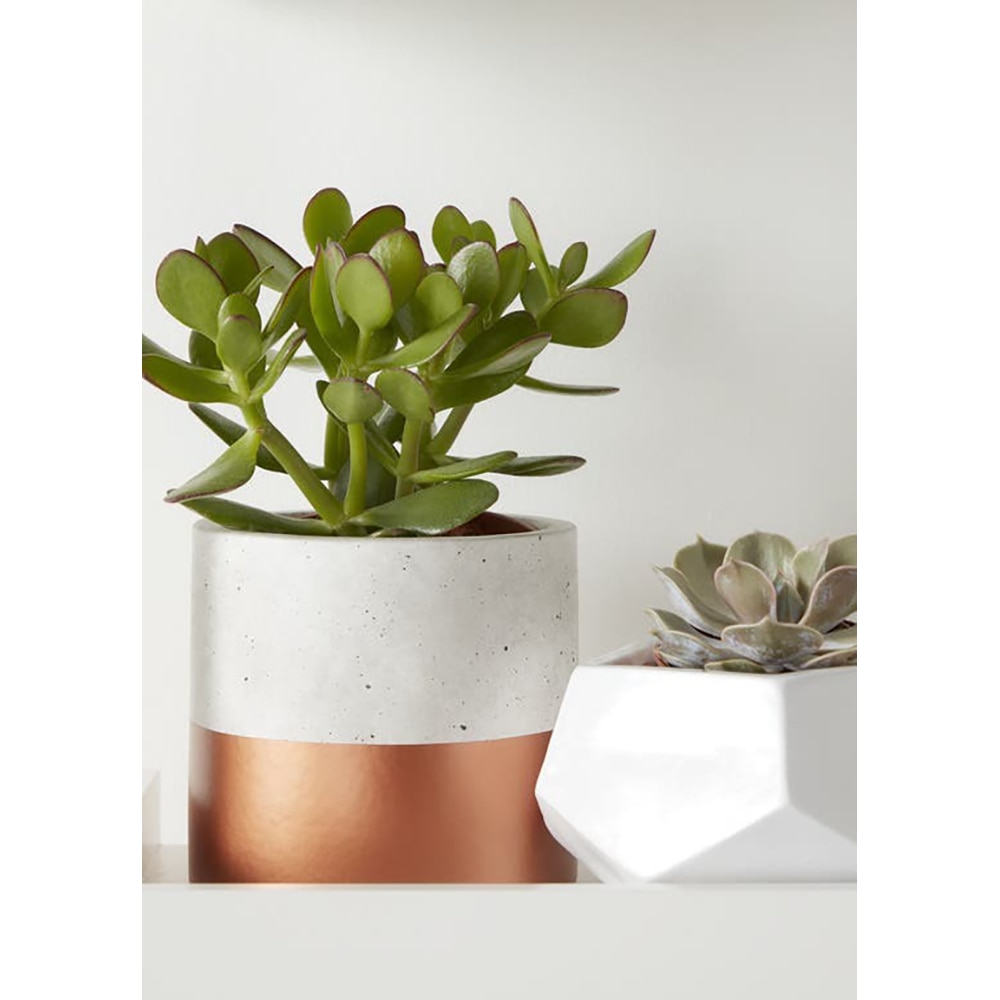 Ghiveci rotund GOODHOME, beton si cupru 14 cm, gri/maro