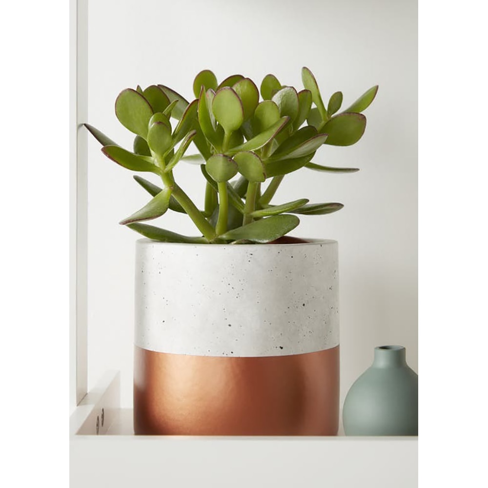 Ghiveci rotund GOODHOME, beton si cupru 14 cm, gri/maro