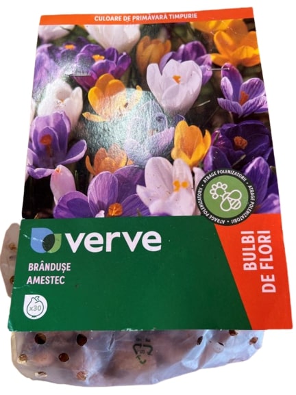 Bulbi VERVE Crocus Mix, multicolor