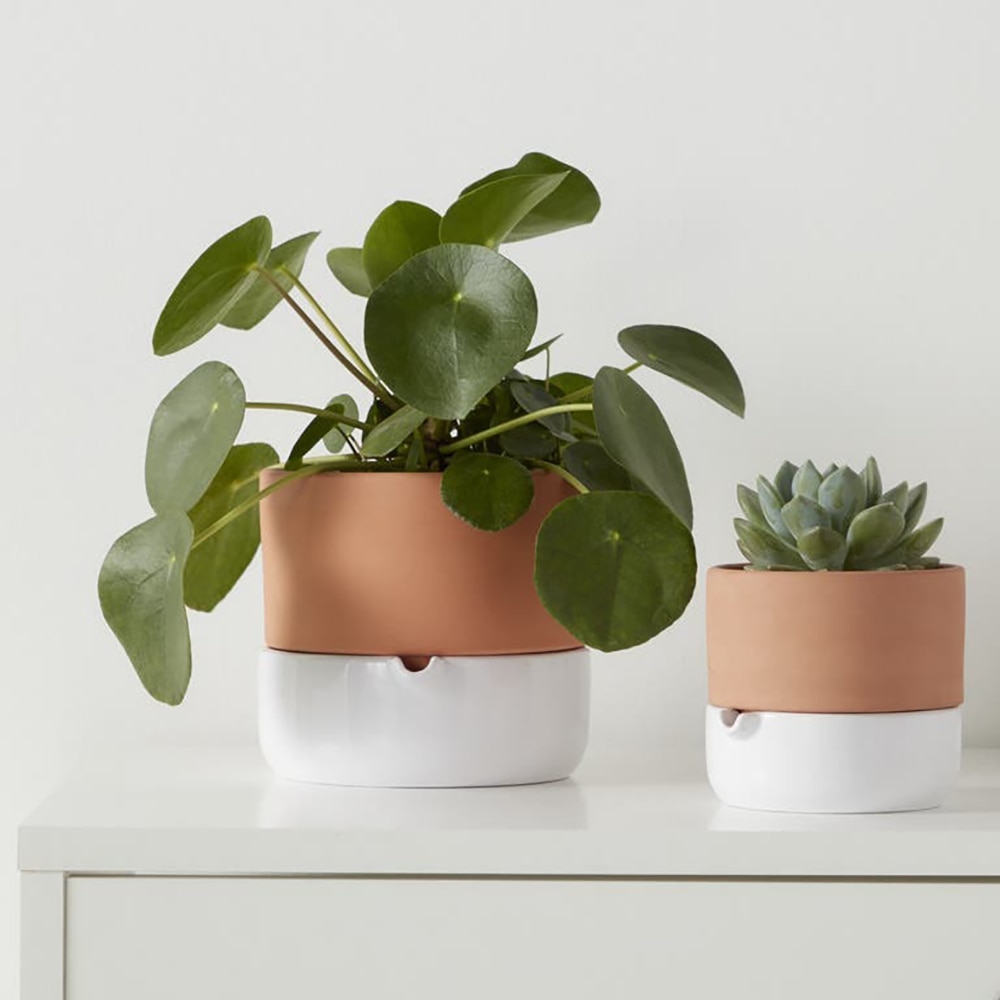 Ghiveci rotund GOODHOME, teracota, 16.1 cm, maro/alb