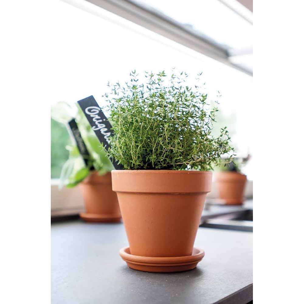 Farfurie ghiveci VERVE Laleh, teracota, D 11 cm, portocaliu