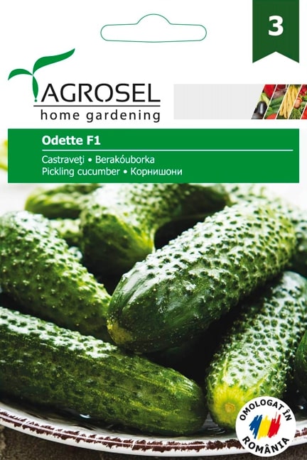 Sem Castraveti Odette F1 Agro