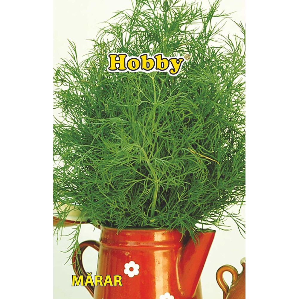 Seminte plante aromatice marar HOBBY