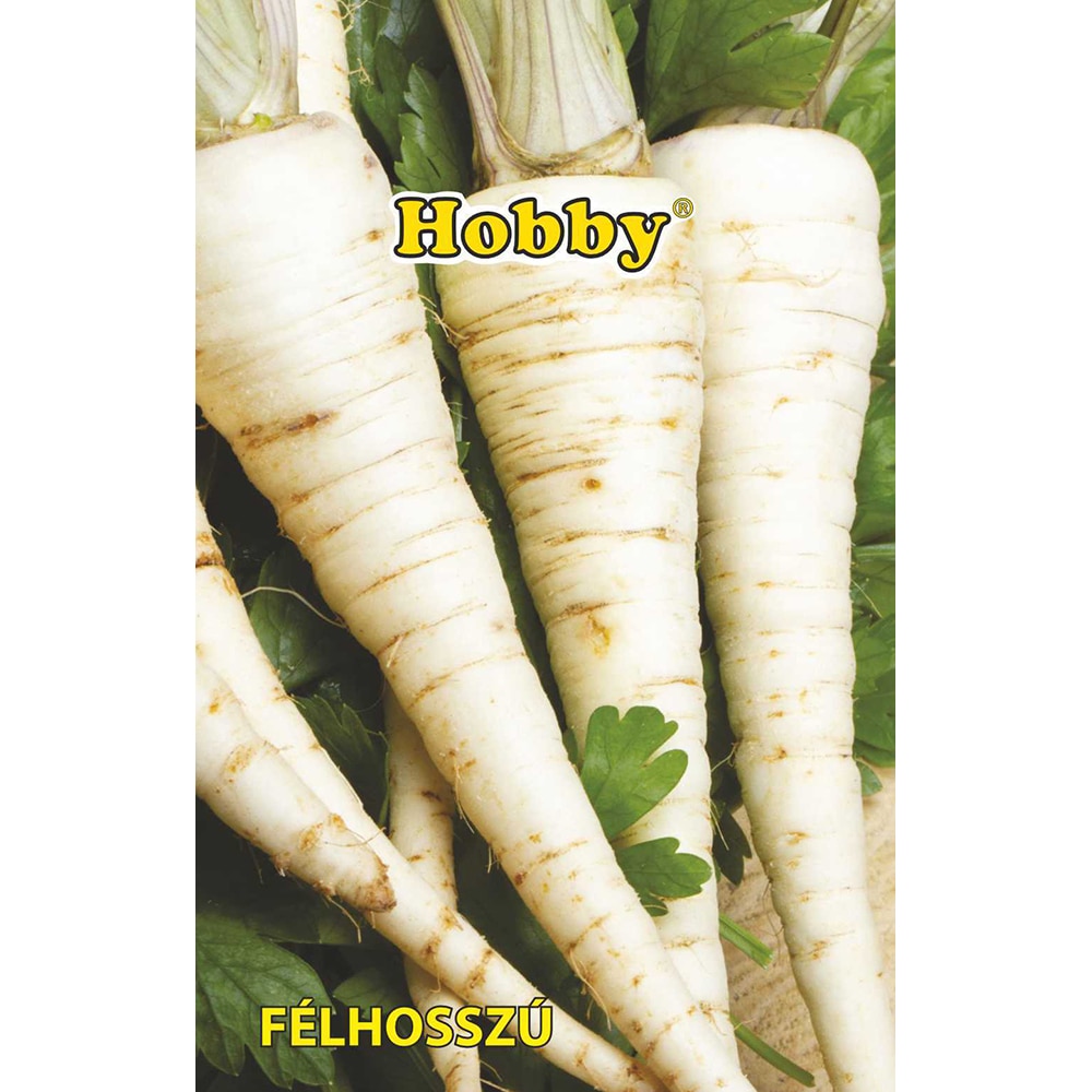 Seminte plante aromatice patrunjel Felhosszu HOBBY