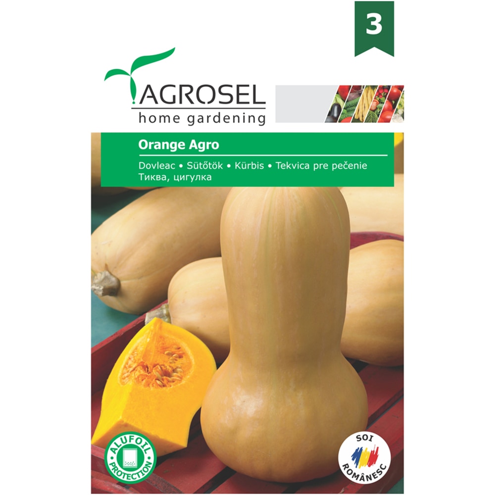 Seminte legume dovleac Orange Agro AGROSEL, 4g