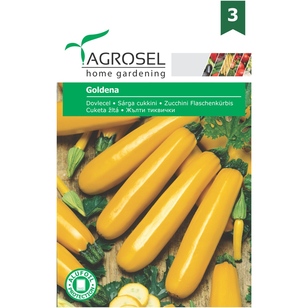 Seminte legume dovlecel Goldena AGROSEL, 3g