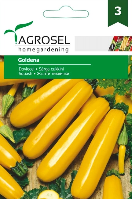 Seminte dovlecel galben