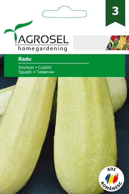 Seminte dovlecel Radu  Agrosel