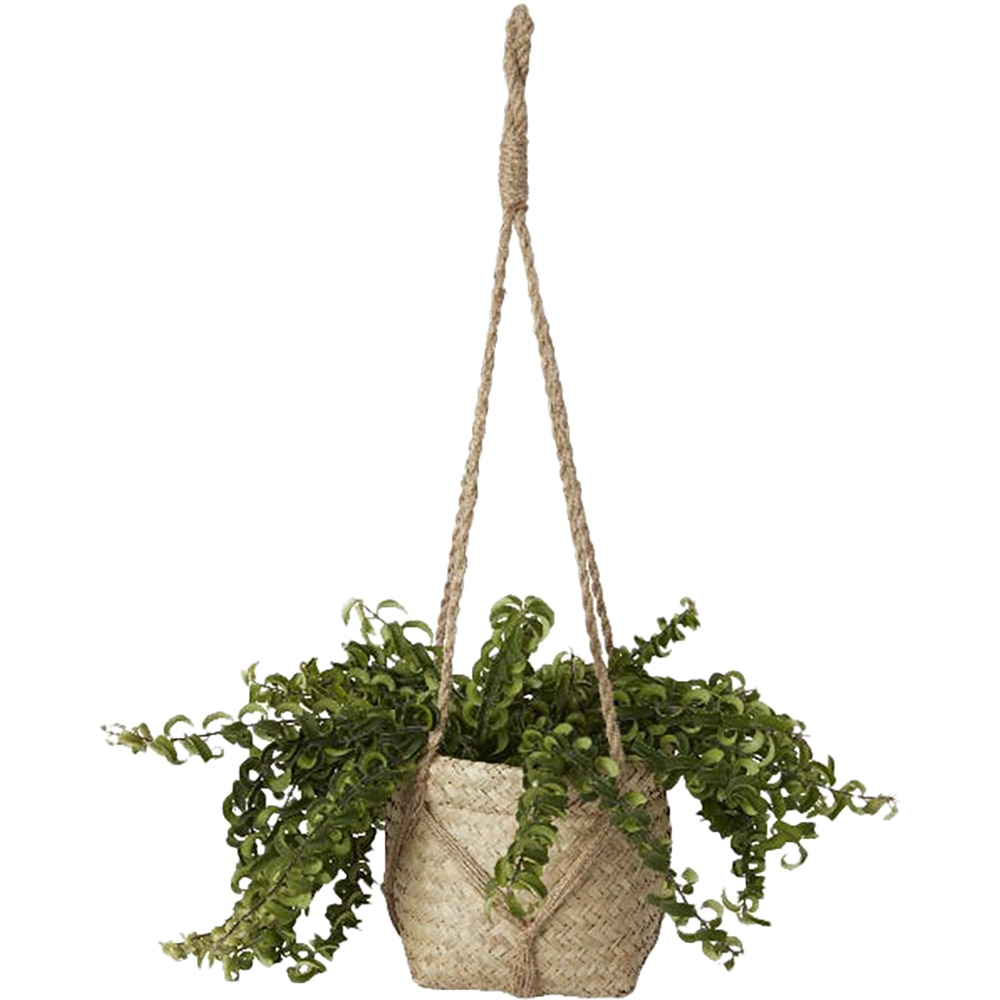 Ghiveci suspendat rotund GOODHOME, iarba de mare, 20.5 cm, bej