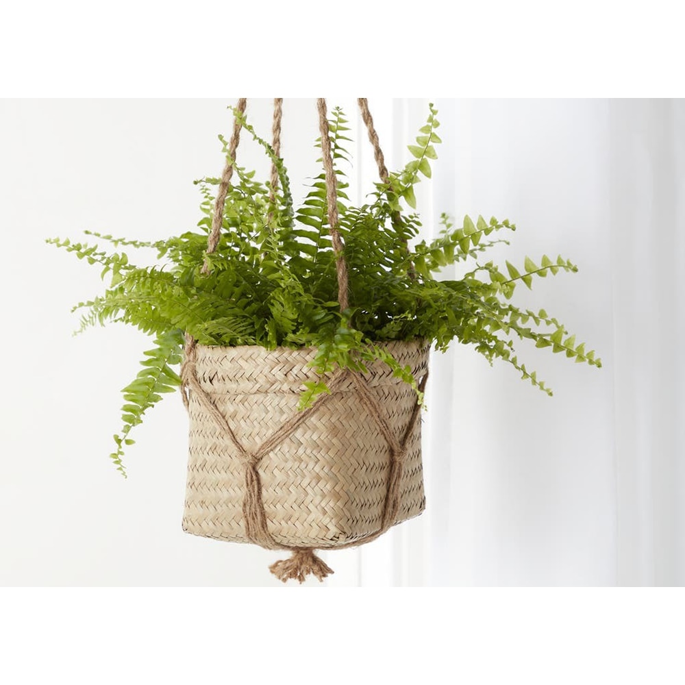 Ghiveci suspendat rotund GOODHOME, iarba de mare, 20.5 cm, bej