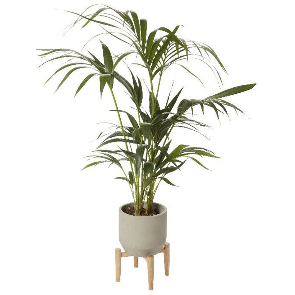 Suport ghiveci flori GOODHOME, lemn, 27.2 x 27.2 x 16 cm, maro