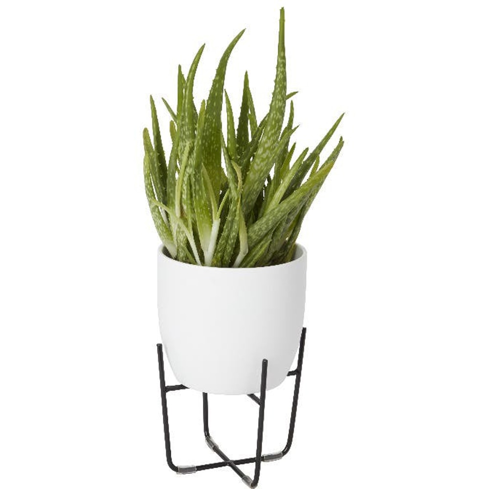 Suport ghiveci flori GOODHOME, metal, 16 x 16 x 14 cm, negru