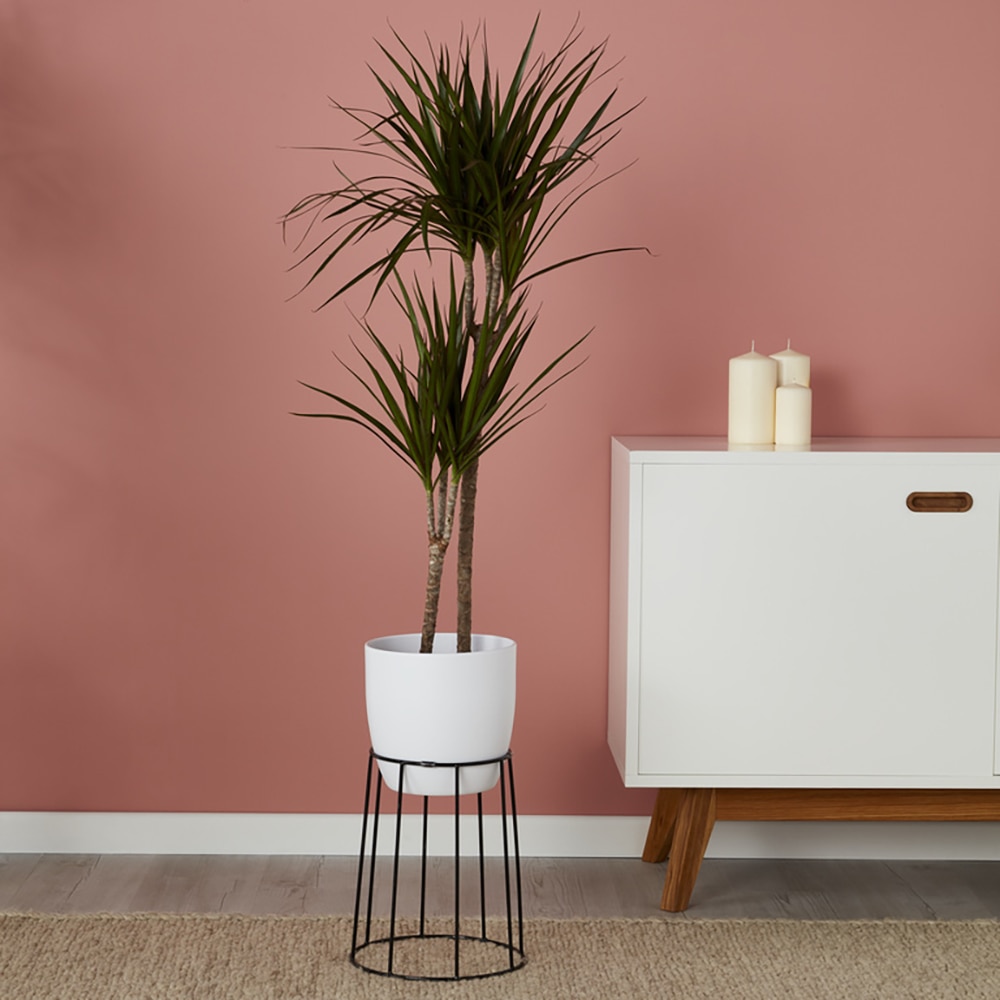 Suport ghiveci flori GOODHOME, metal, 26 x 30 cm, negru