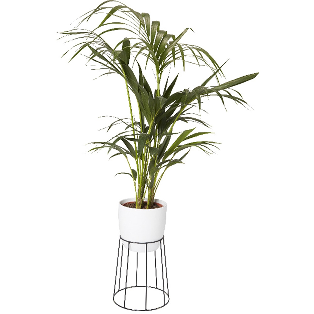 Suport ghiveci flori GOODHOME, metal, 26 x 30 cm, negru