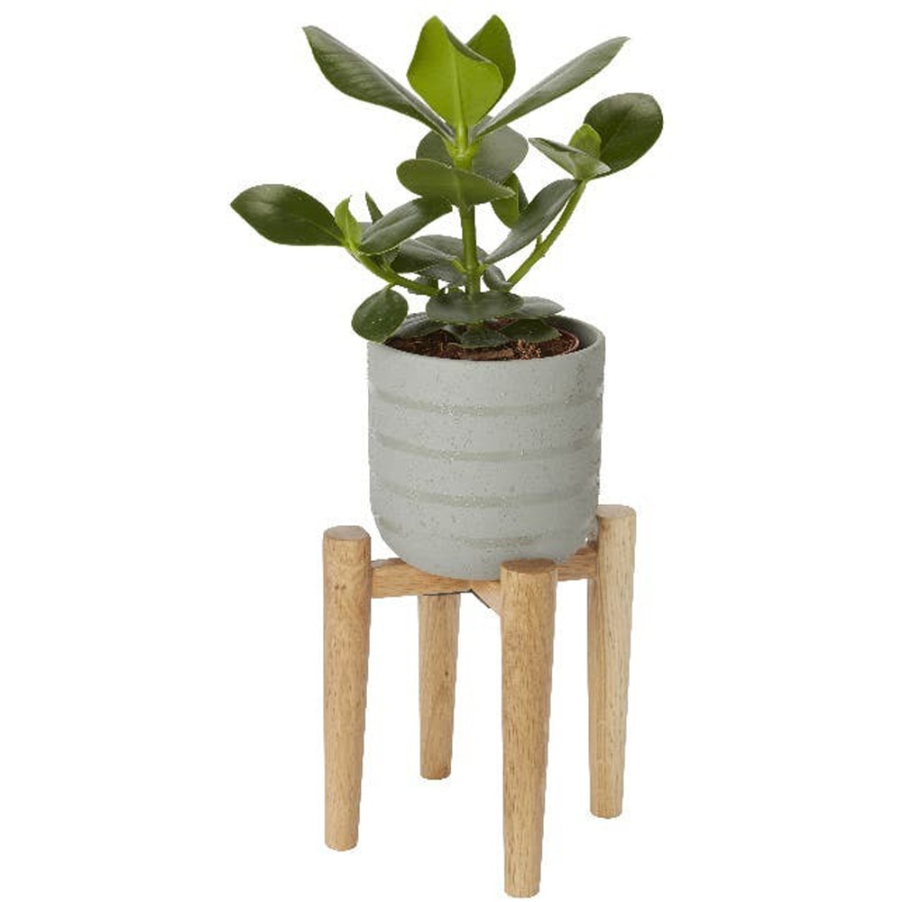 Suport ghiveci flori GOODHOME, lemn, 20.5 x 20.5 x 20 cm, maro