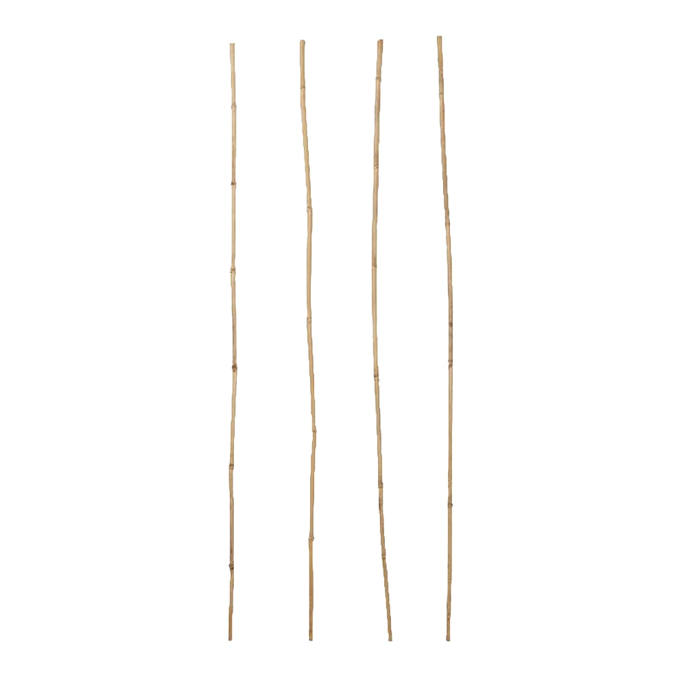 Arac bambus VERVE 100846112, 90cm