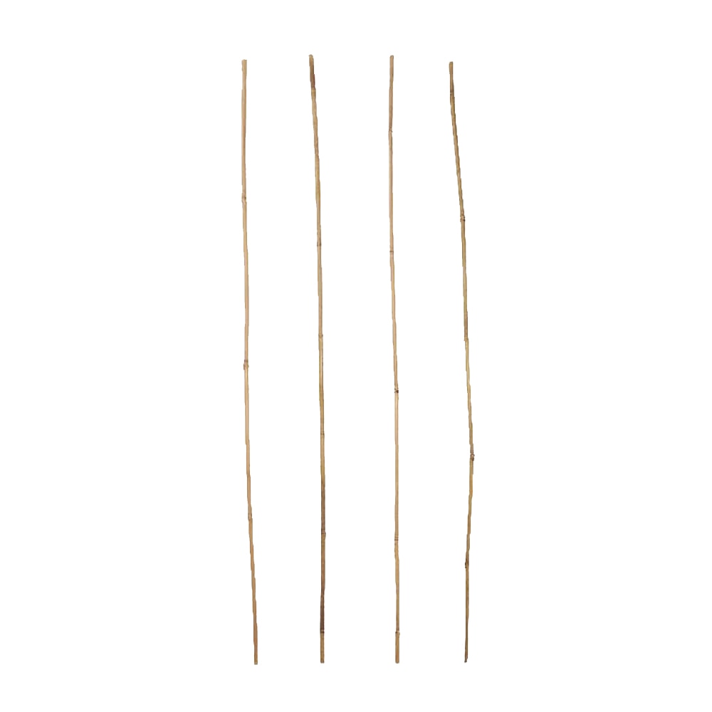 Arac bambus VERVE 100846113, 120cm