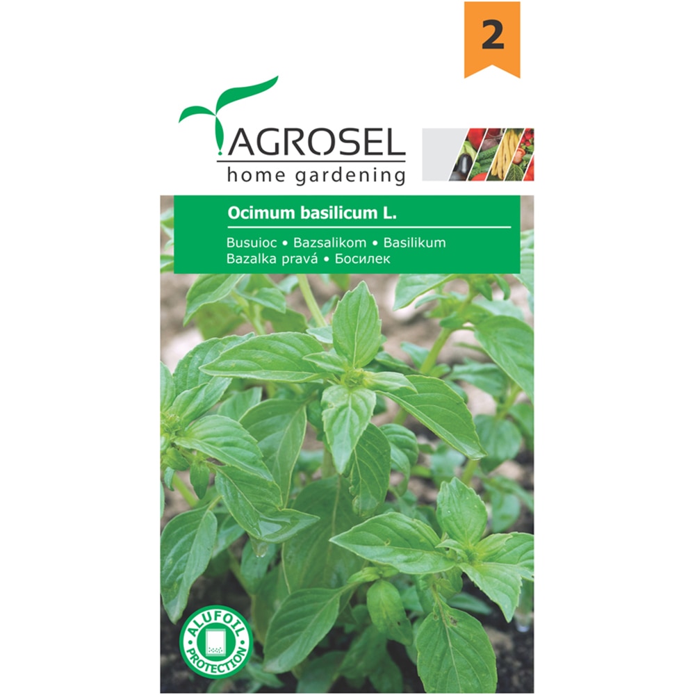 Seminte plante aromatice busuioc AGROSEL, 1g