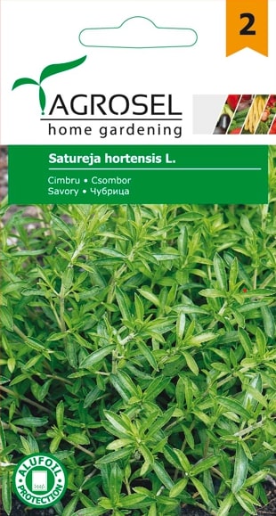 Seminte cimbru  Agrosel