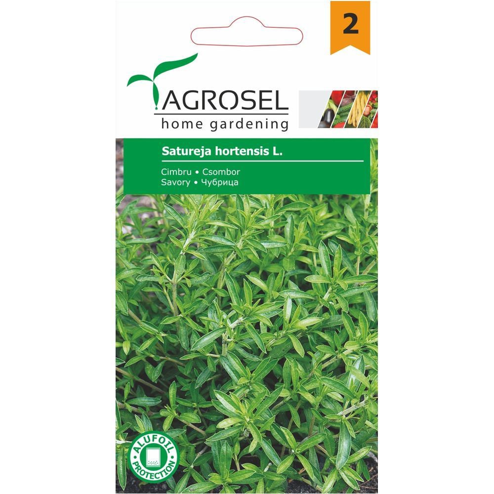 Seminte plante aromatice cimbru AGROSEL, 1g