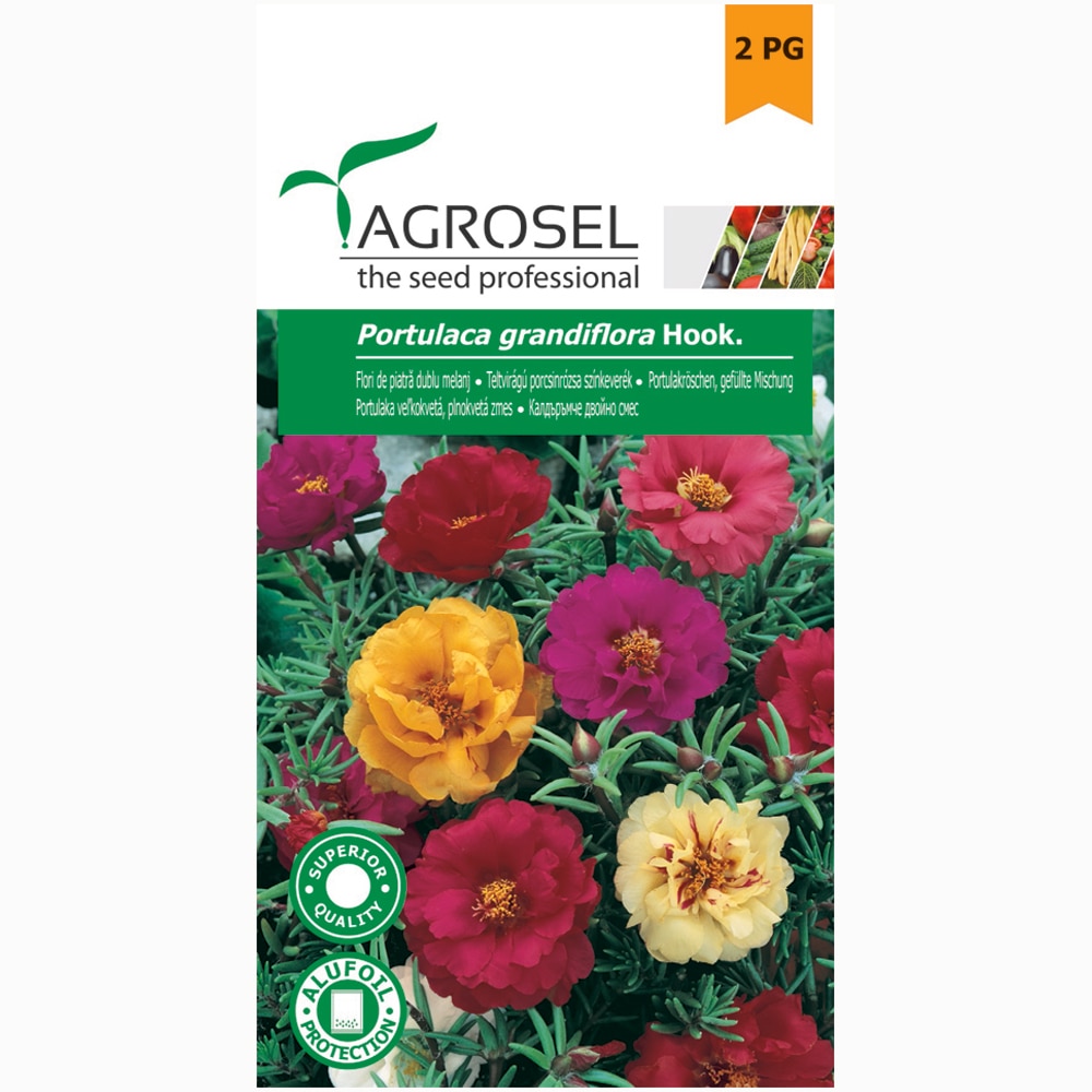 Seminte flori Piatra AGROSEL, 0.6 g