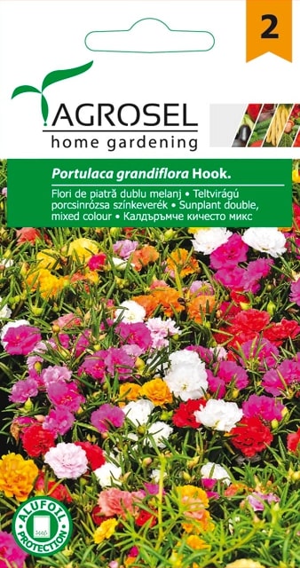 Seminte flori piatra  Agrosel