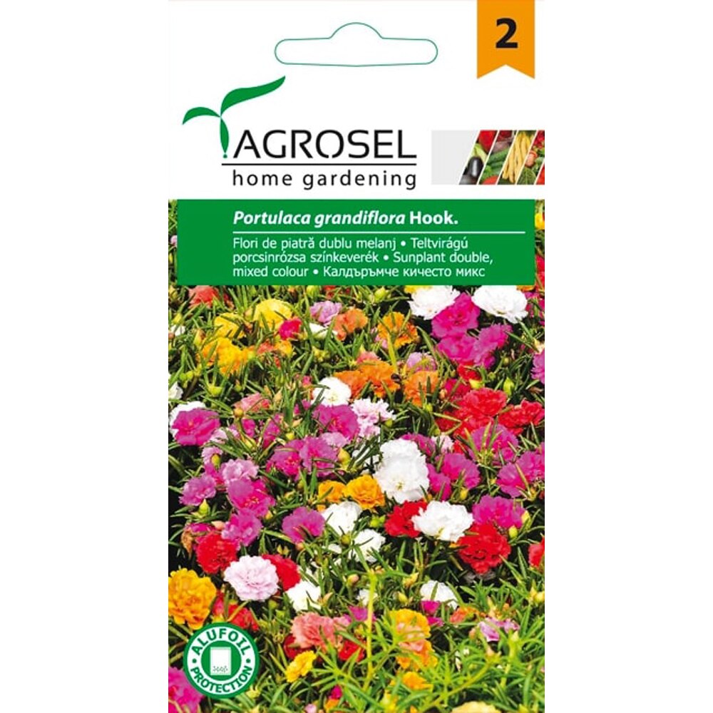 Seminte flori Piatra AGROSEL, 0.6 g
