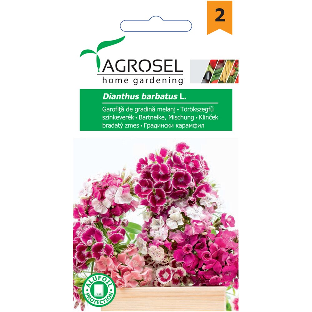 Seminte flori Garofita AGROSEL, 1 g