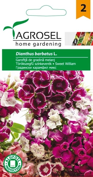 Seminte garofita  Agrosel