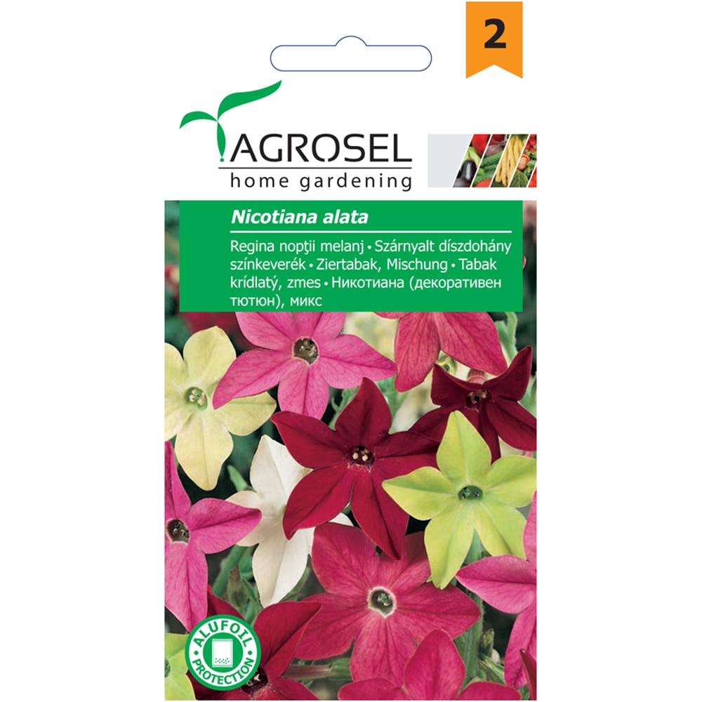 Seminte flori regina noptii melanj AGROSEL, 1g