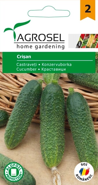 Seminte castraveti Crisan  Agrosel