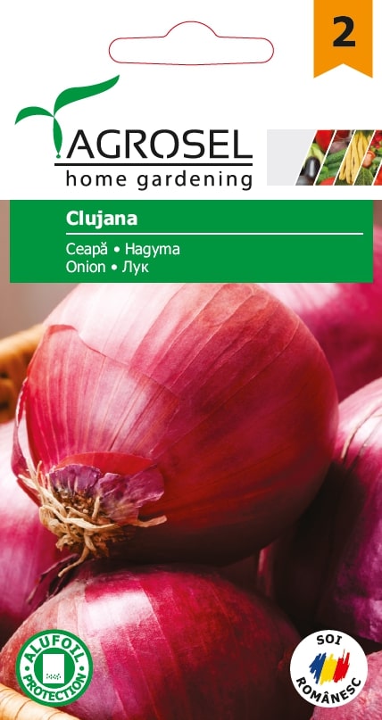 Seminte ceapa Clujana  Agrosel