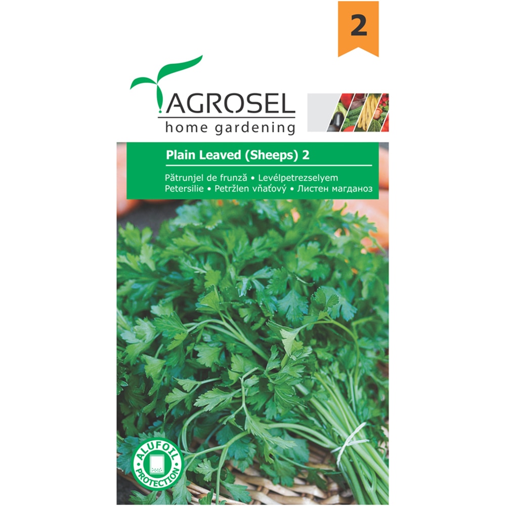 Seminte plante aromatice patrunjel de frunze Plain Leaved AGROSEL, 3.5g