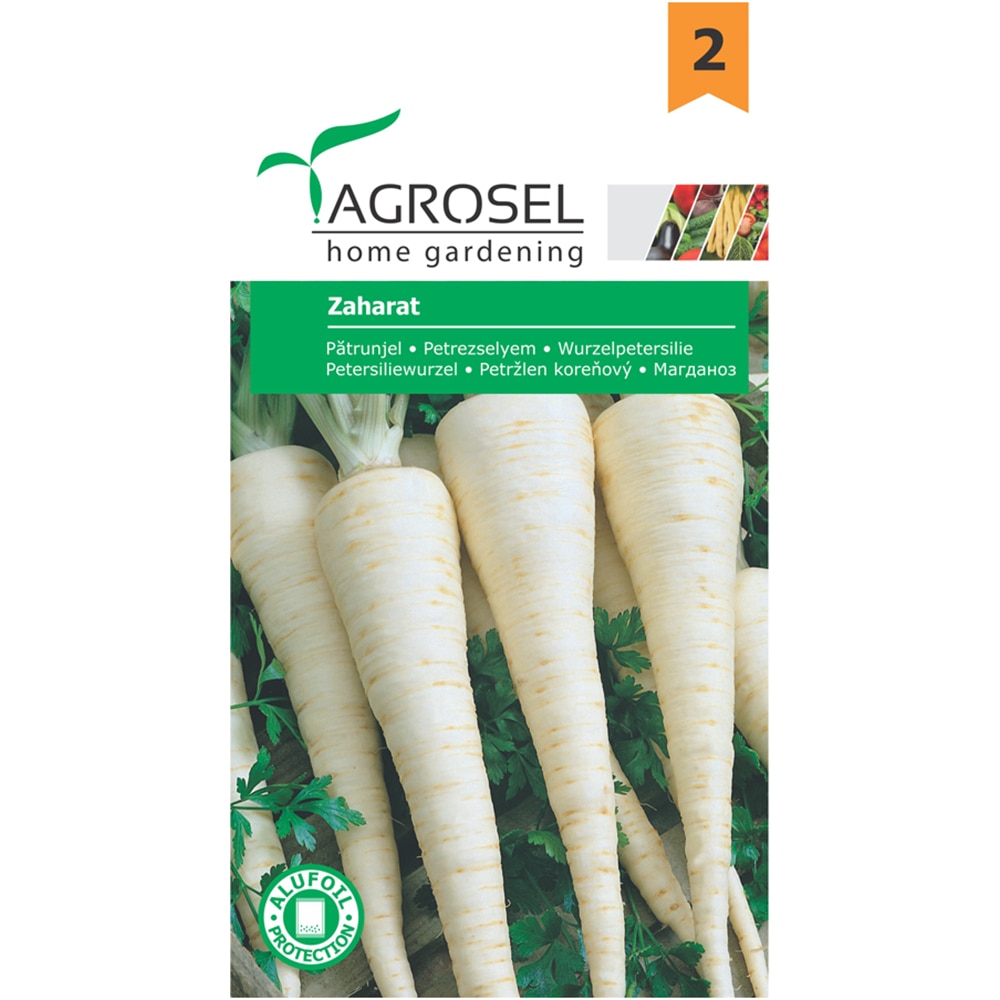 Seminte patrunjel de radacina zaharat AGROSEL, 5g