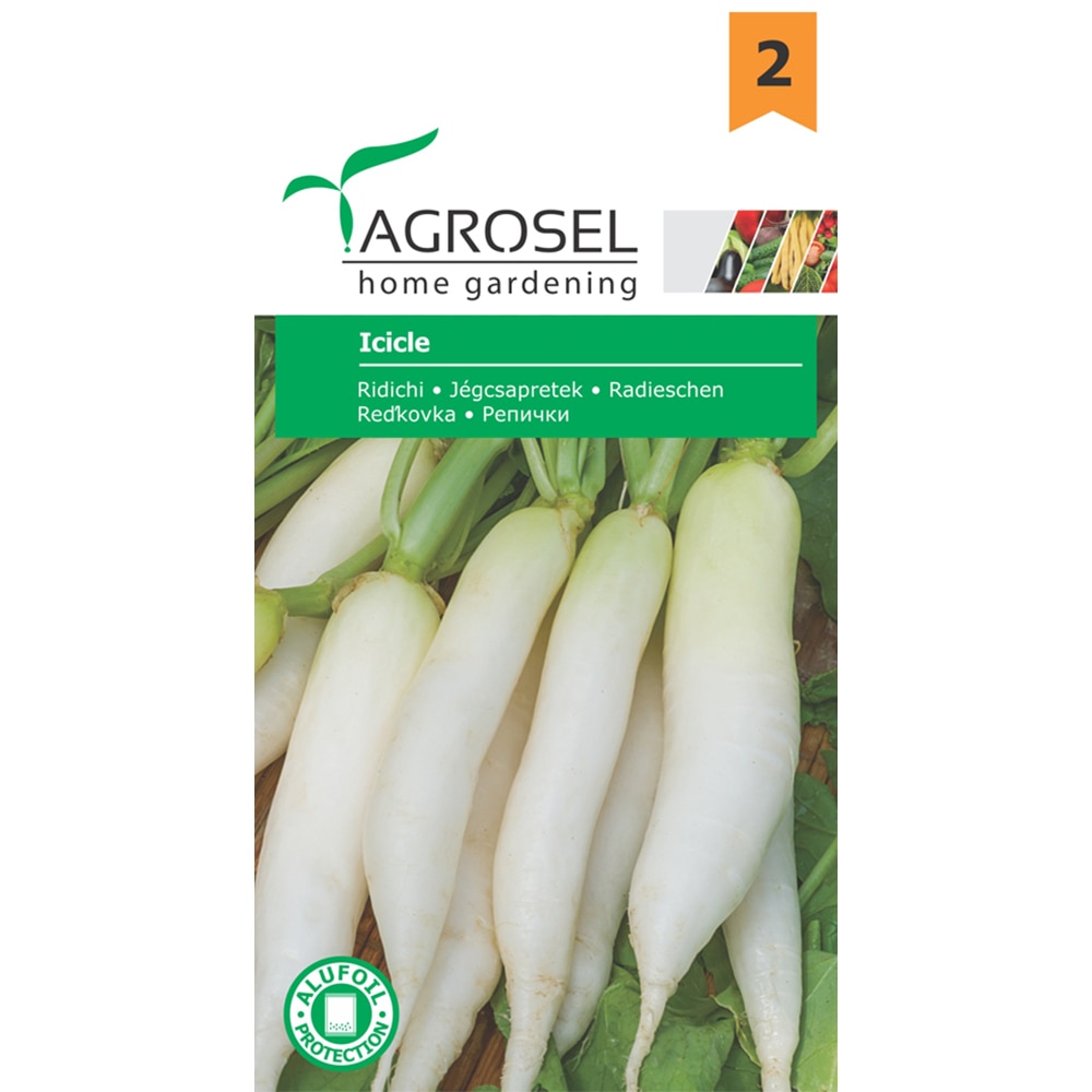 Seminte Ridichi Icicle AGROSEL
